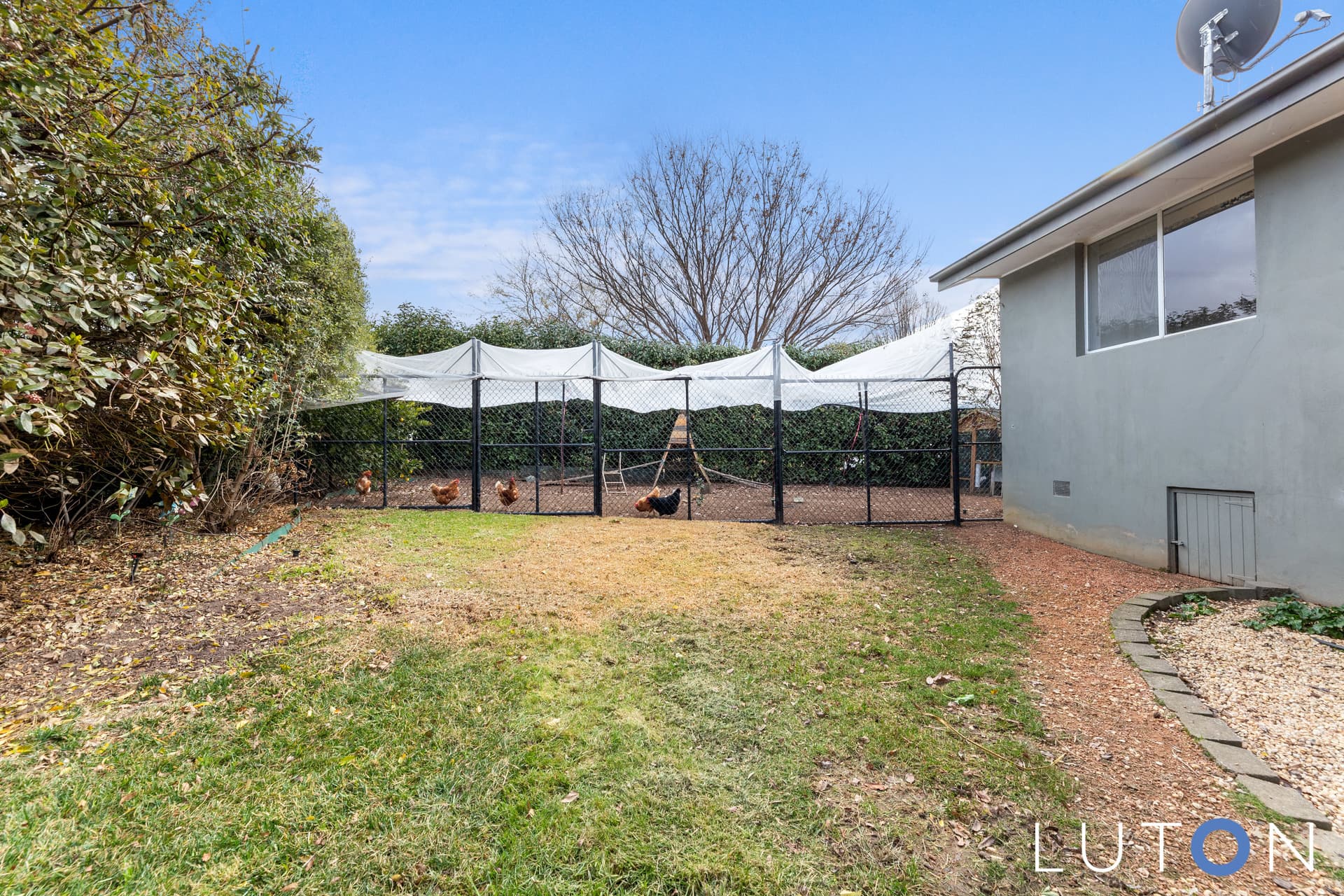 35 Serpentine Street, Duffy ACT 2611, Duffy - Thumbnail 8