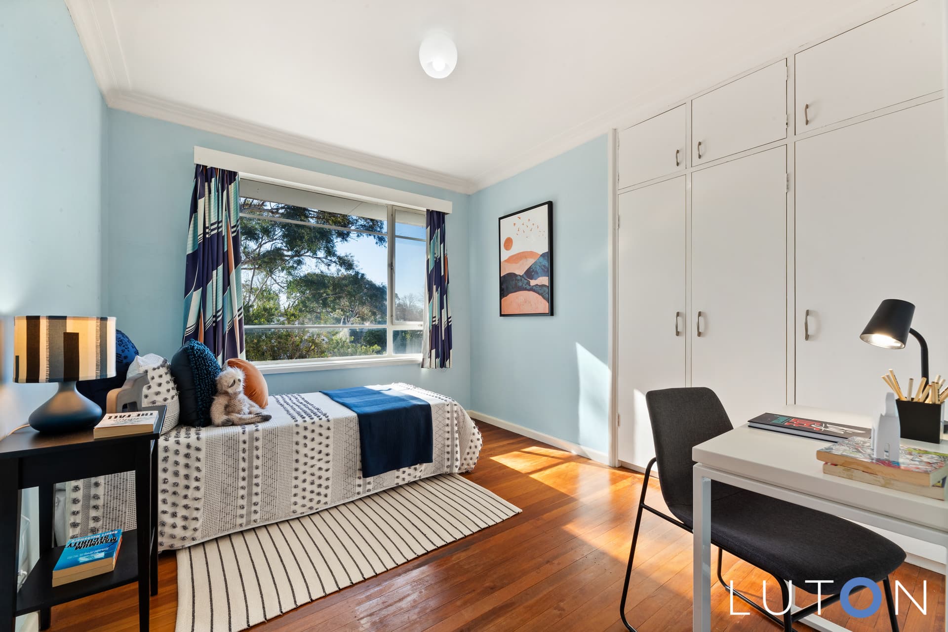 56 Norman Street, Deakin ACT 2600, Deakin - Thumbnail 2