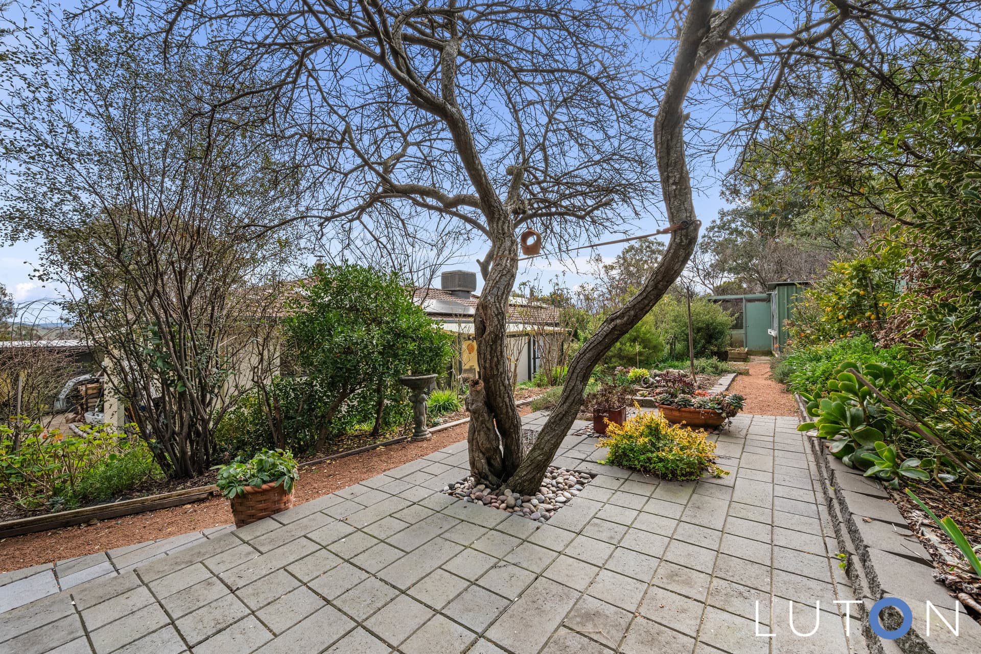 16 Arrietta Close, Charnwood ACT 2615, Charnwood - Thumbnail 8