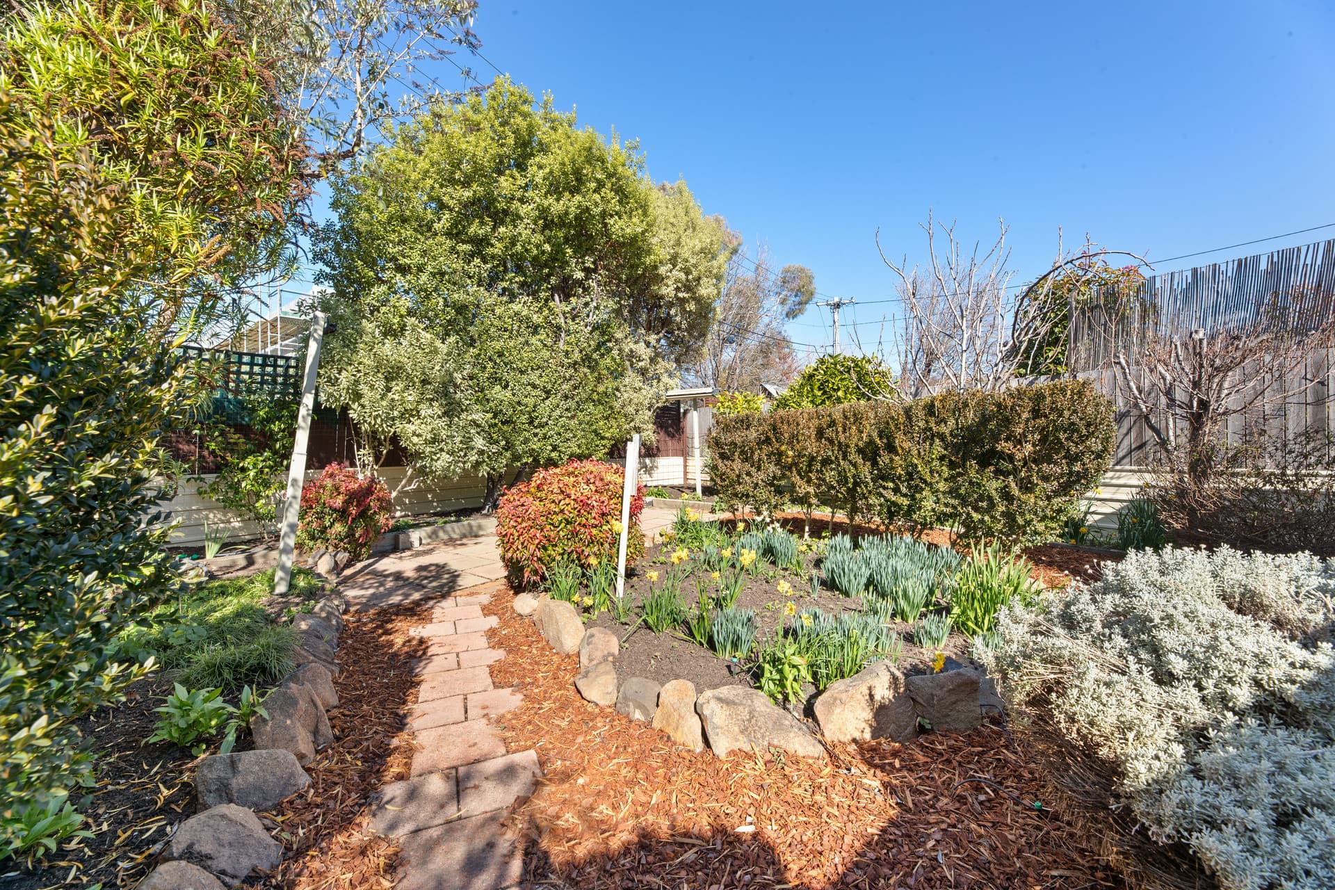 50 Newdegate Street, Deakin ACT 2600, Deakin - Thumbnail 8
