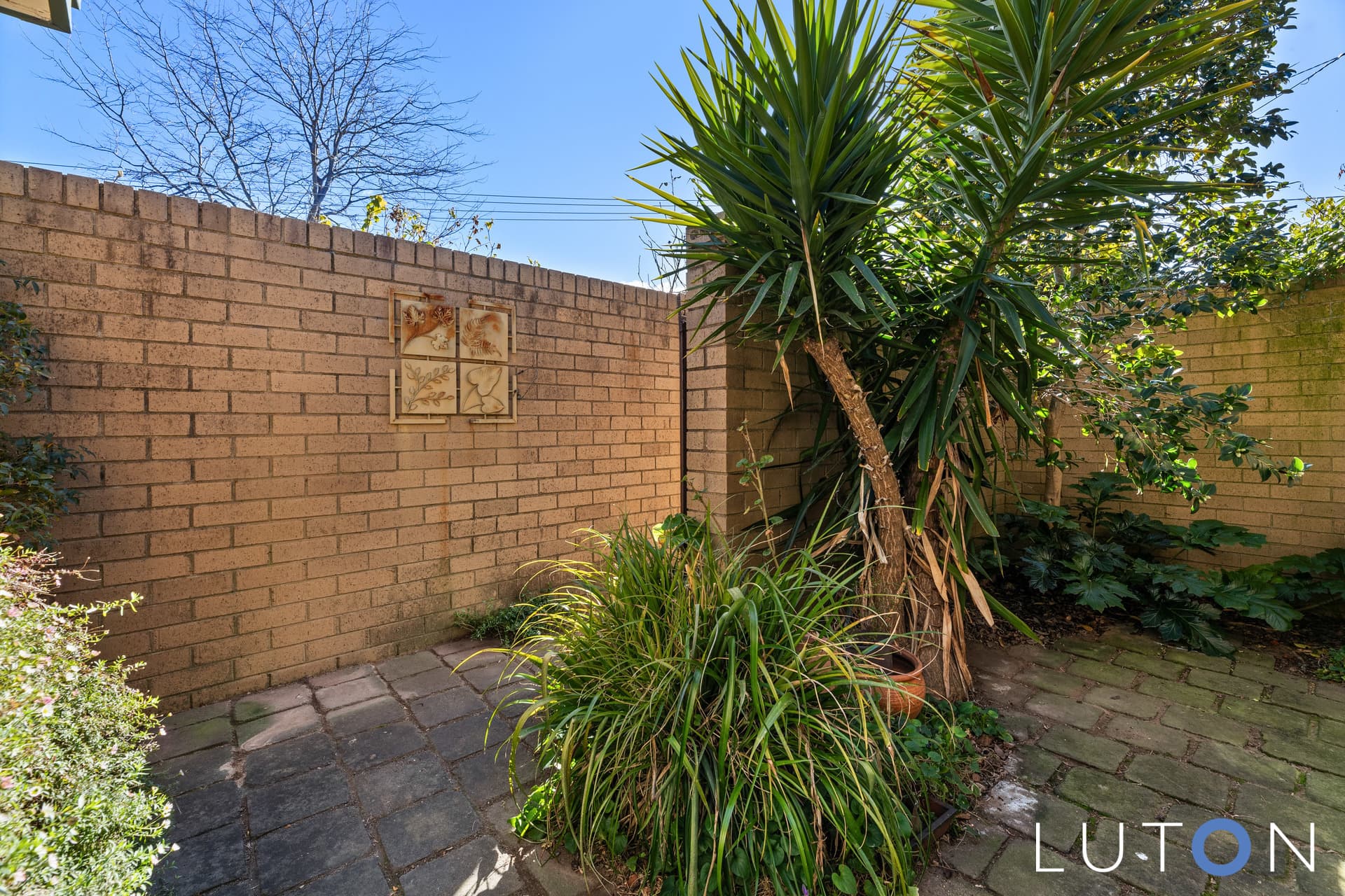 13 Wirilda Street, Rivett ACT 2611, Rivett - Thumbnail 5