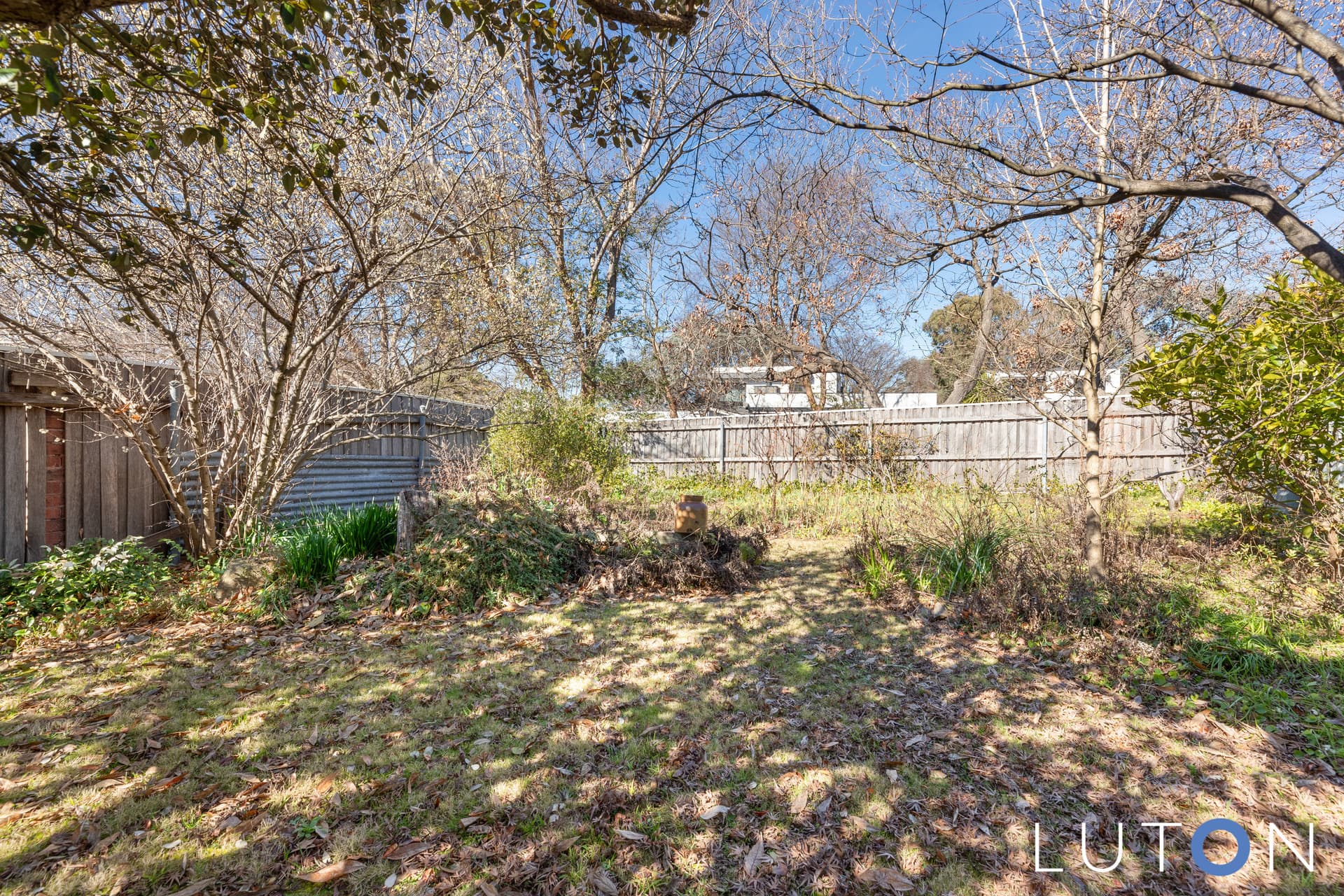3 Argyle Place, Curtin ACT 2605, Curtin - Thumbnail 4