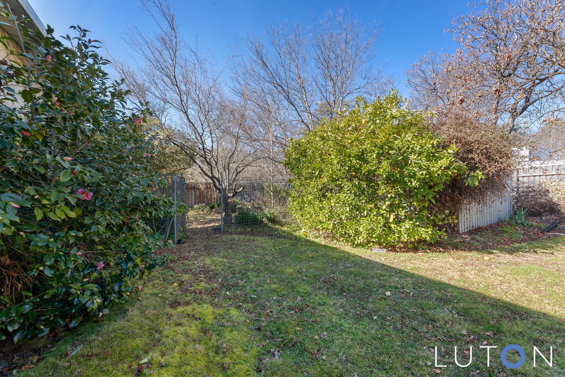 3 Argyle Place, Curtin ACT 2605, Curtin - Thumbnail 3