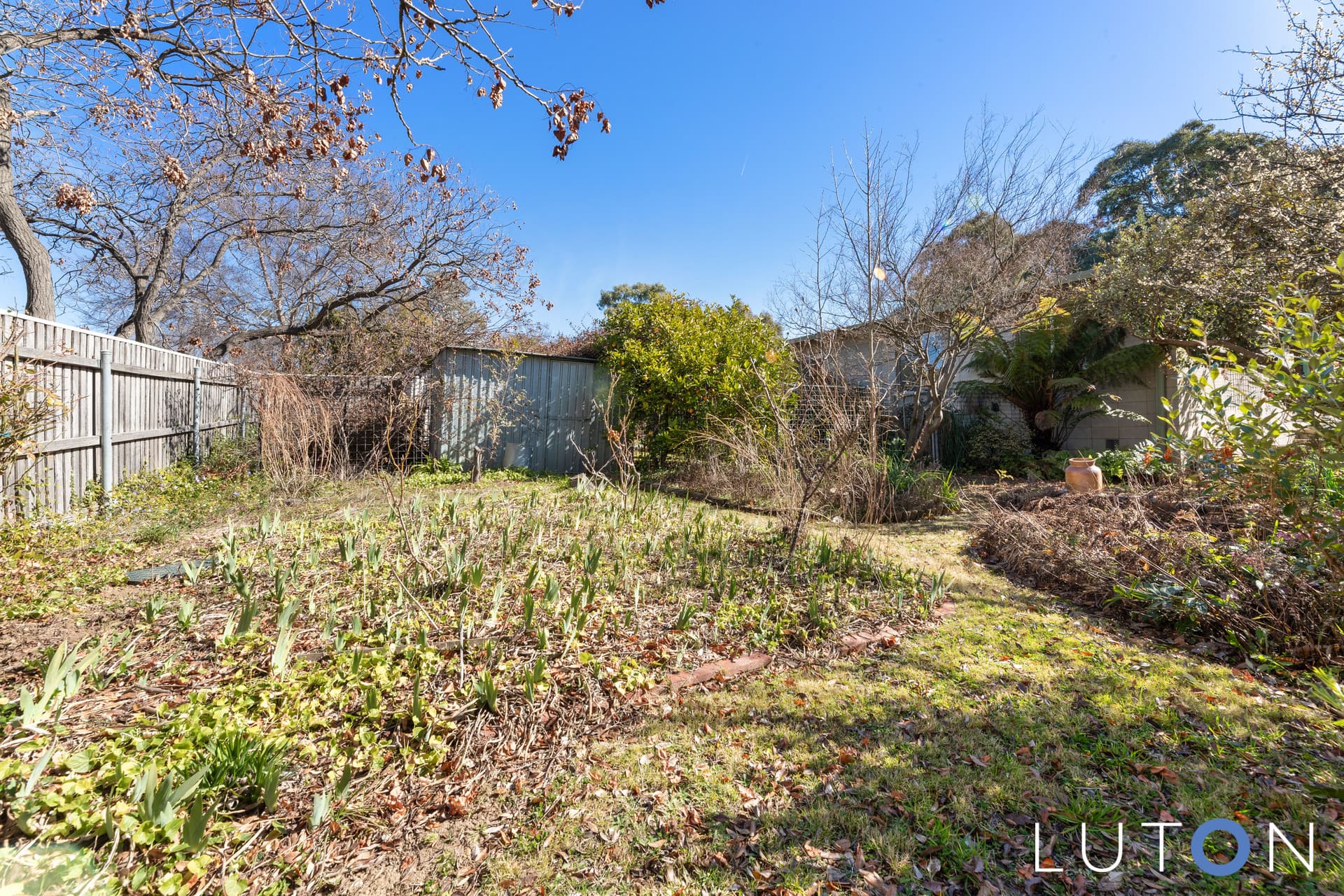 3 Argyle Place, Curtin ACT 2605, Curtin - Thumbnail 5