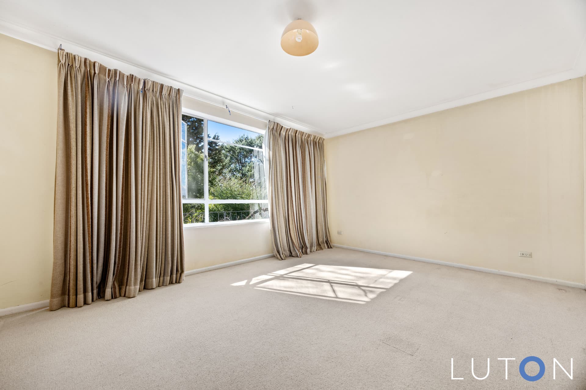 3 Munro Street, Curtin ACT 2605, Curtin - Thumbnail 3