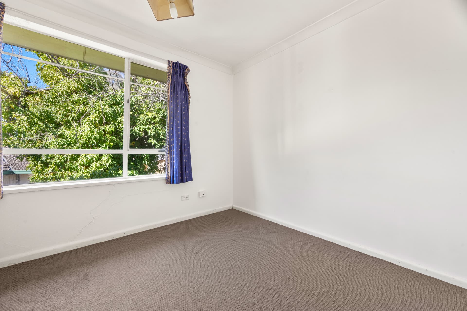 3 Munro Street, Curtin ACT 2605, Curtin - Thumbnail 4