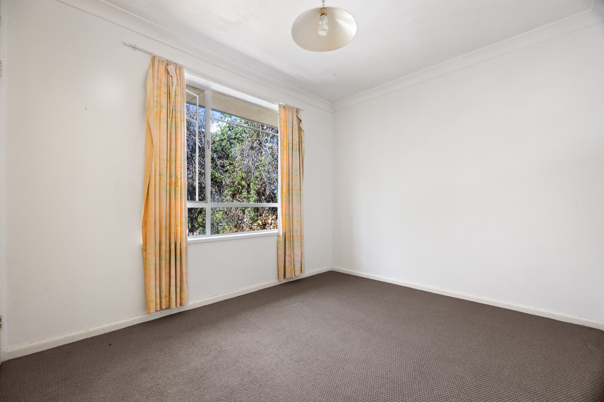 3 Munro Street, Curtin ACT 2605, Curtin - Thumbnail 5