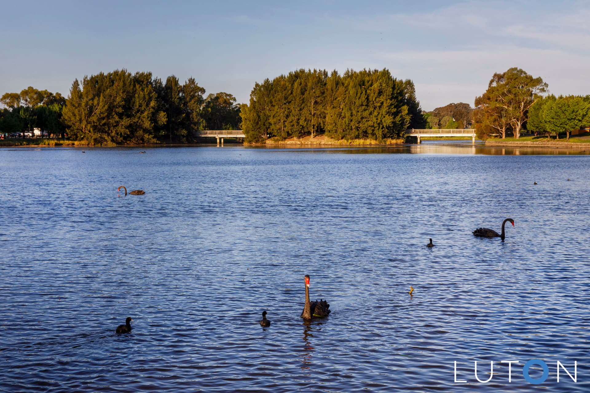 5/90 Gozzard Street, Gungahlin ACT 2912, Gungahlin - Thumbnail 7