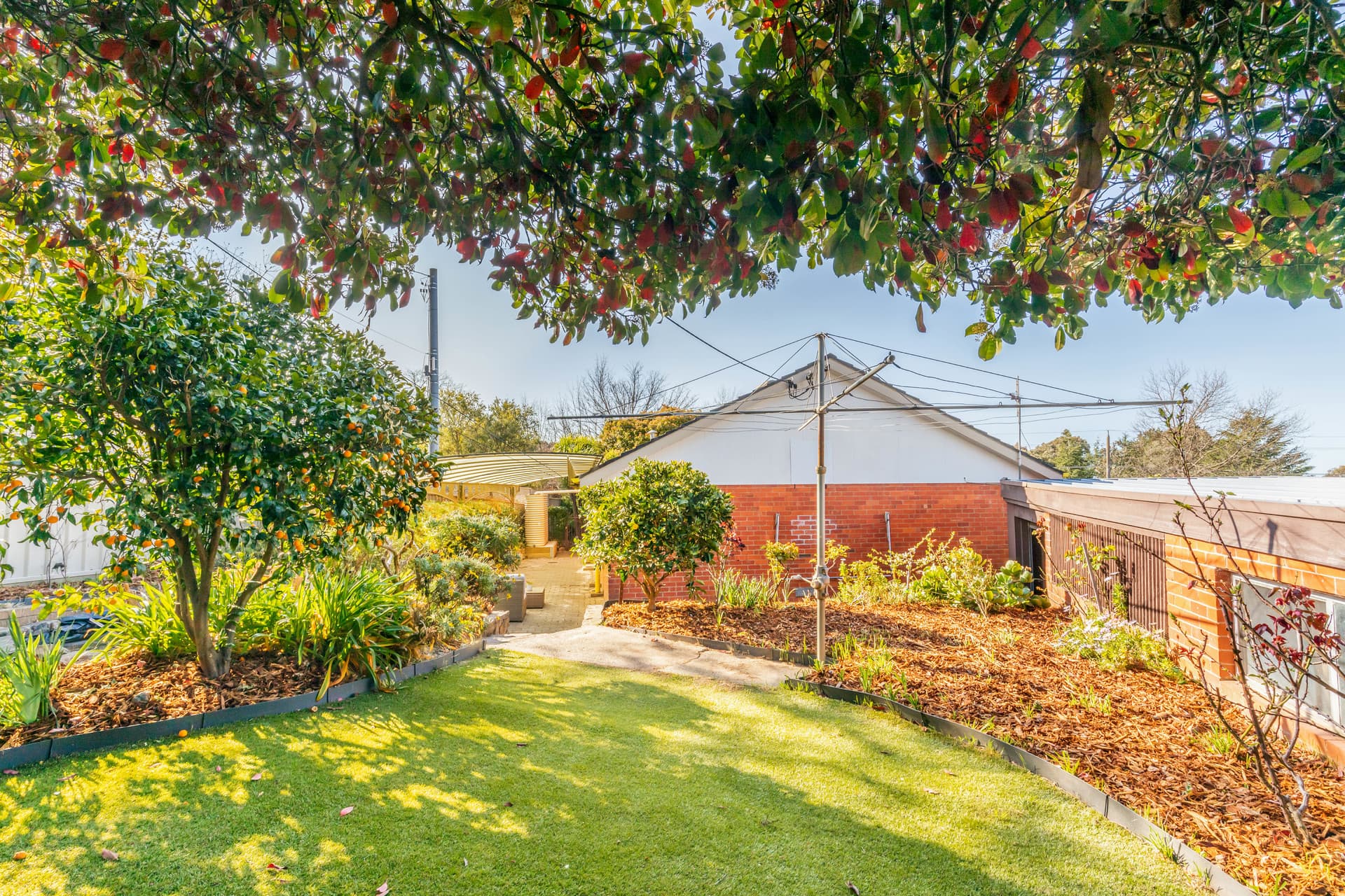 83 Archibald Street, Lyneham ACT 2602, Lyneham - Thumbnail 5