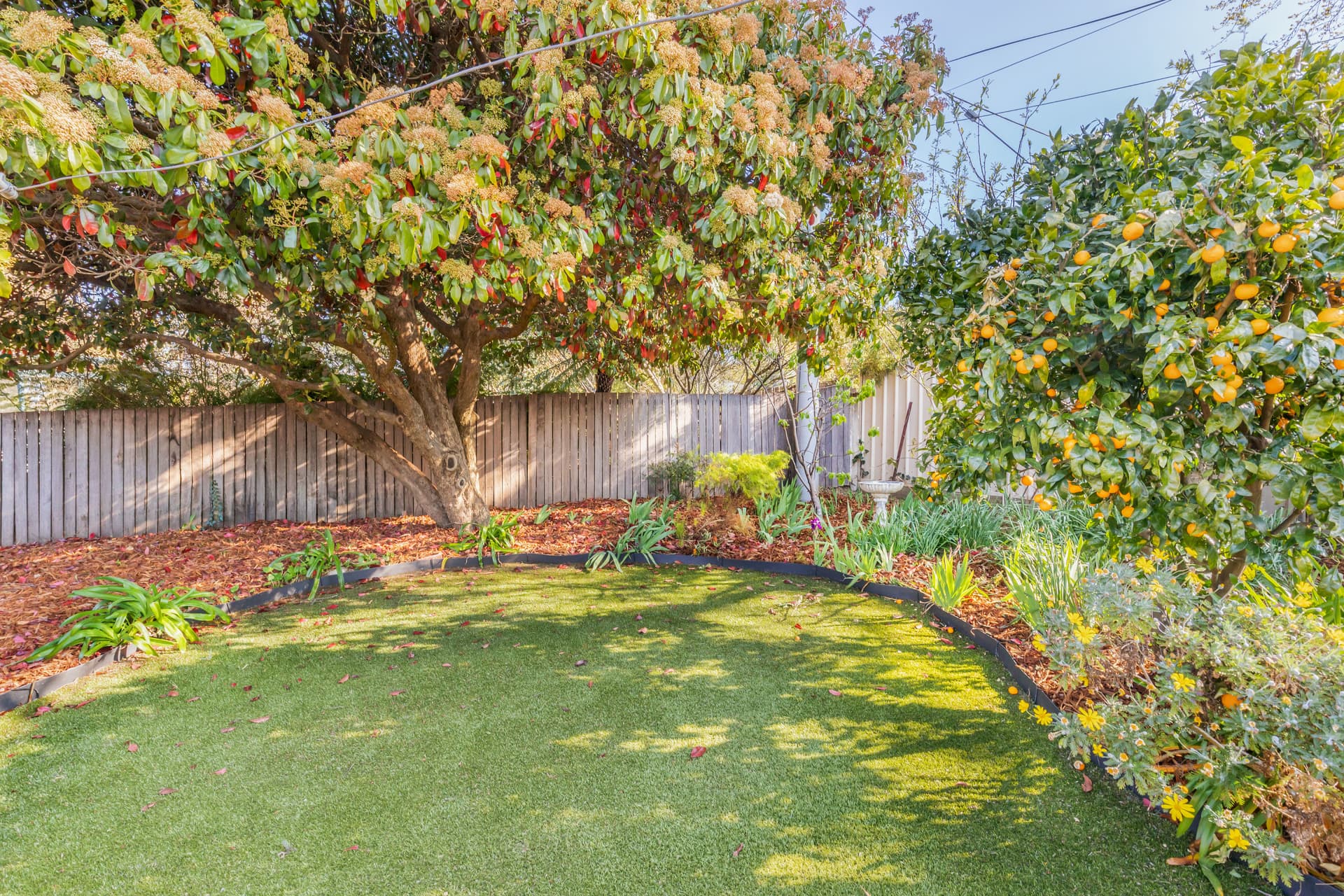 83 Archibald Street, Lyneham ACT 2602, Lyneham - Thumbnail 6