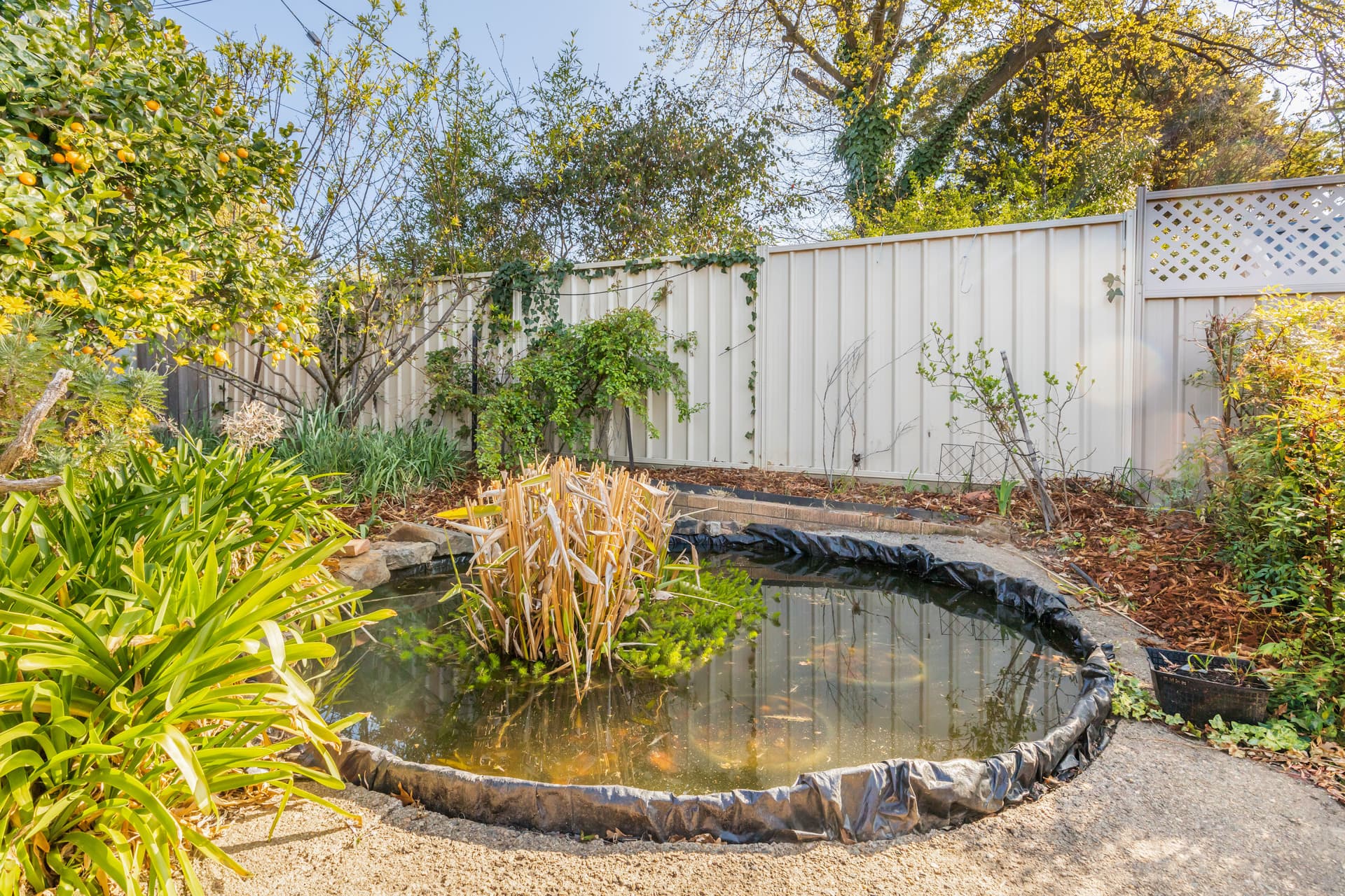 83 Archibald Street, Lyneham ACT 2602, Lyneham - Thumbnail 7