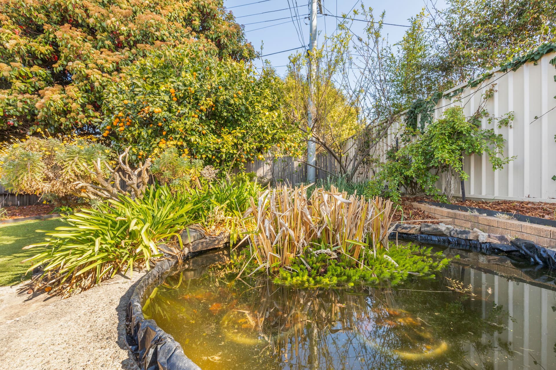 83 Archibald Street, Lyneham ACT 2602, Lyneham - Thumbnail 8