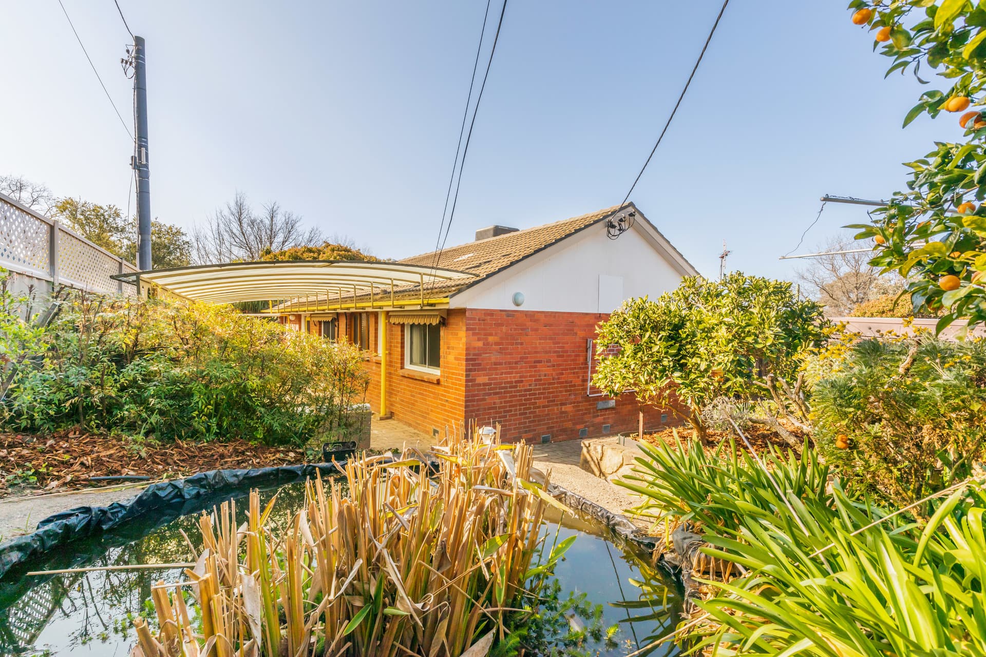 83 Archibald Street, Lyneham ACT 2602, Lyneham - Thumbnail 4