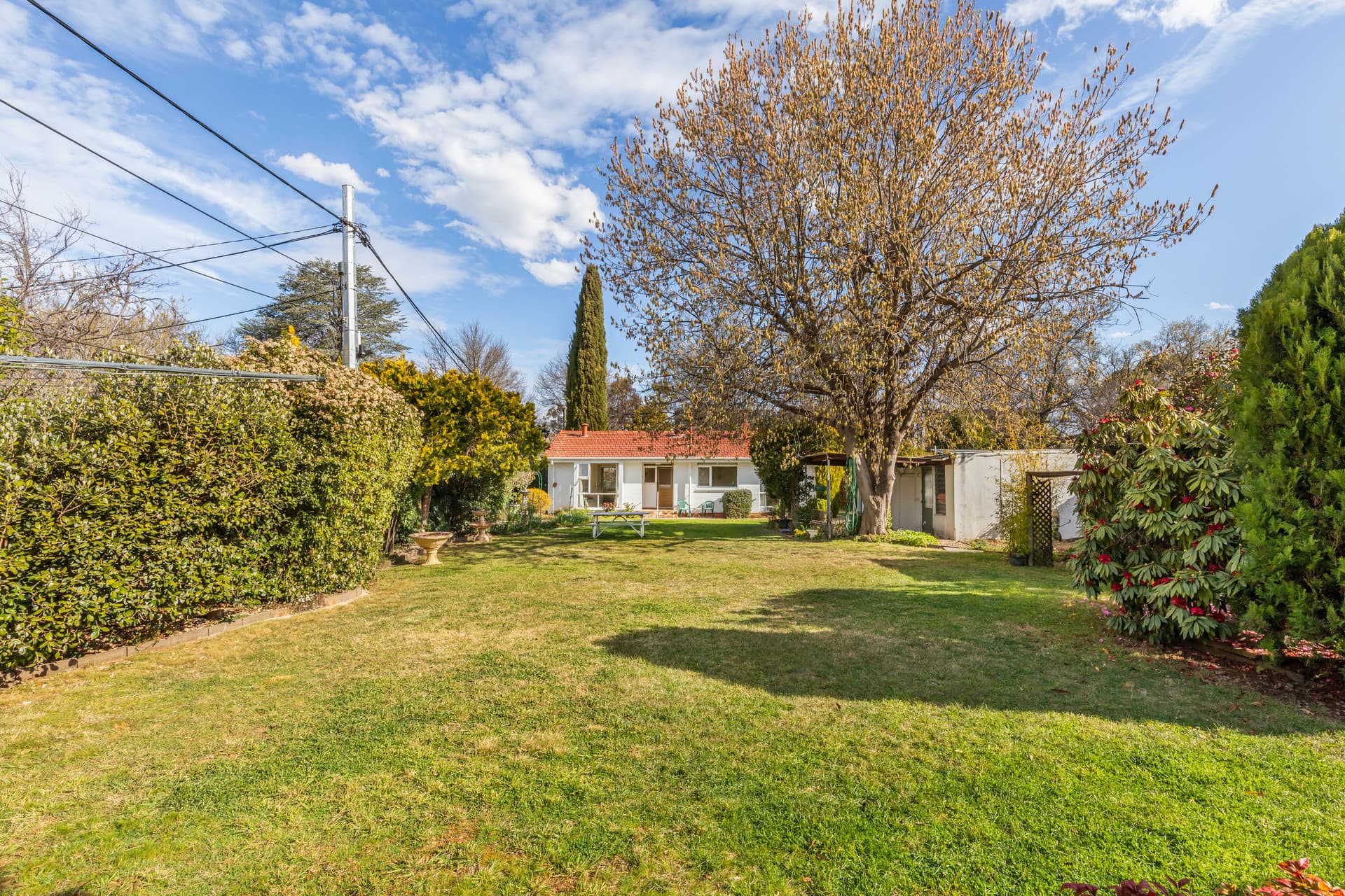 59 Blacket Street, Downer ACT 2602, Downer - Thumbnail 7