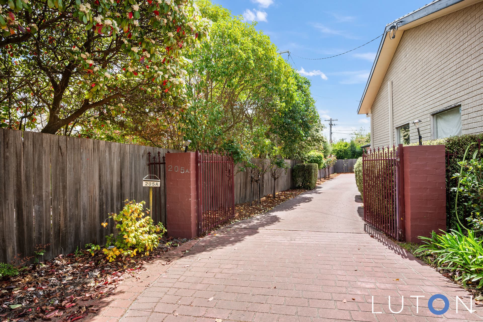 205A Beasley Street, Mawson ACT 2607, Mawson - Thumbnail 8
