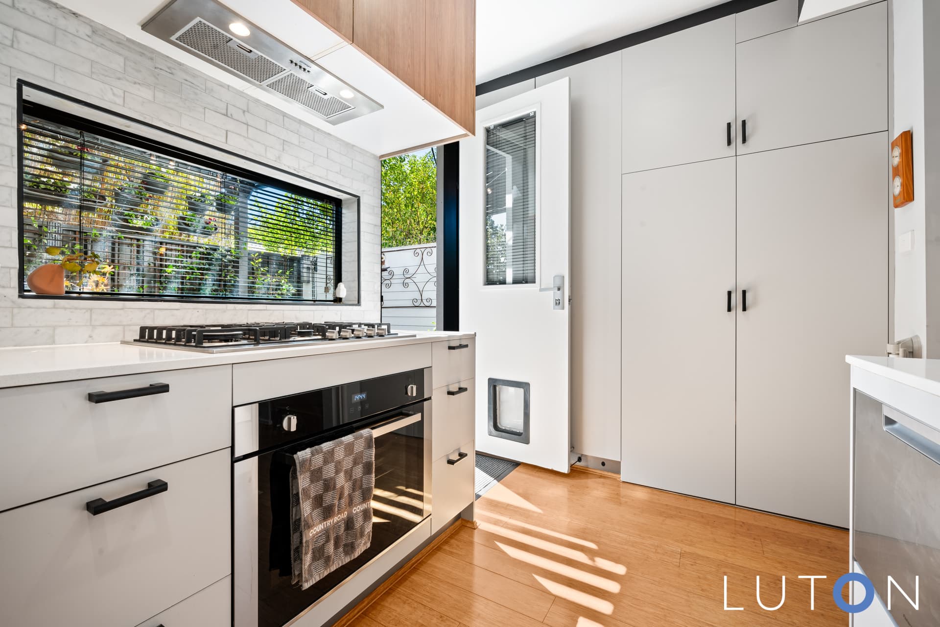 3/48 Ijong Street, Braddon ACT 2612, Braddon - Thumbnail 2