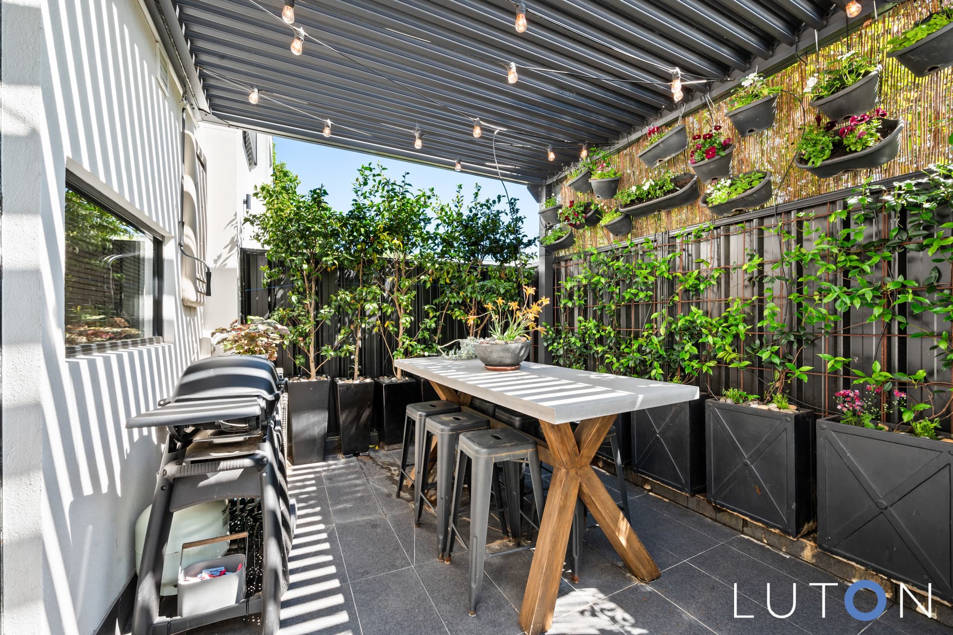 3/48 Ijong Street, Braddon ACT 2612, Braddon - Thumbnail 4
