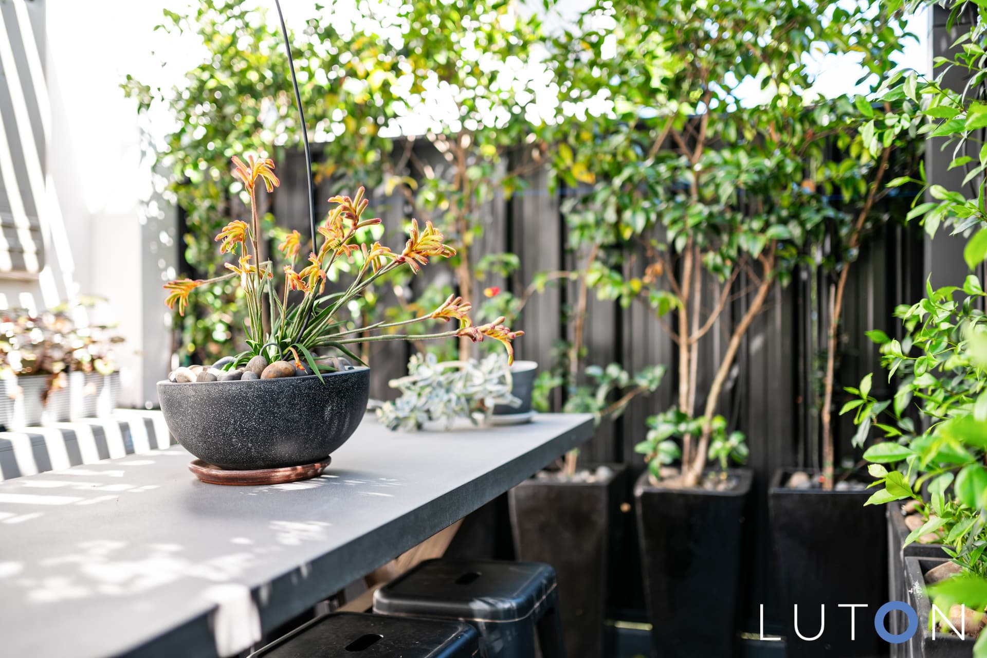 3/48 Ijong Street, Braddon ACT 2612, Braddon - Thumbnail 5