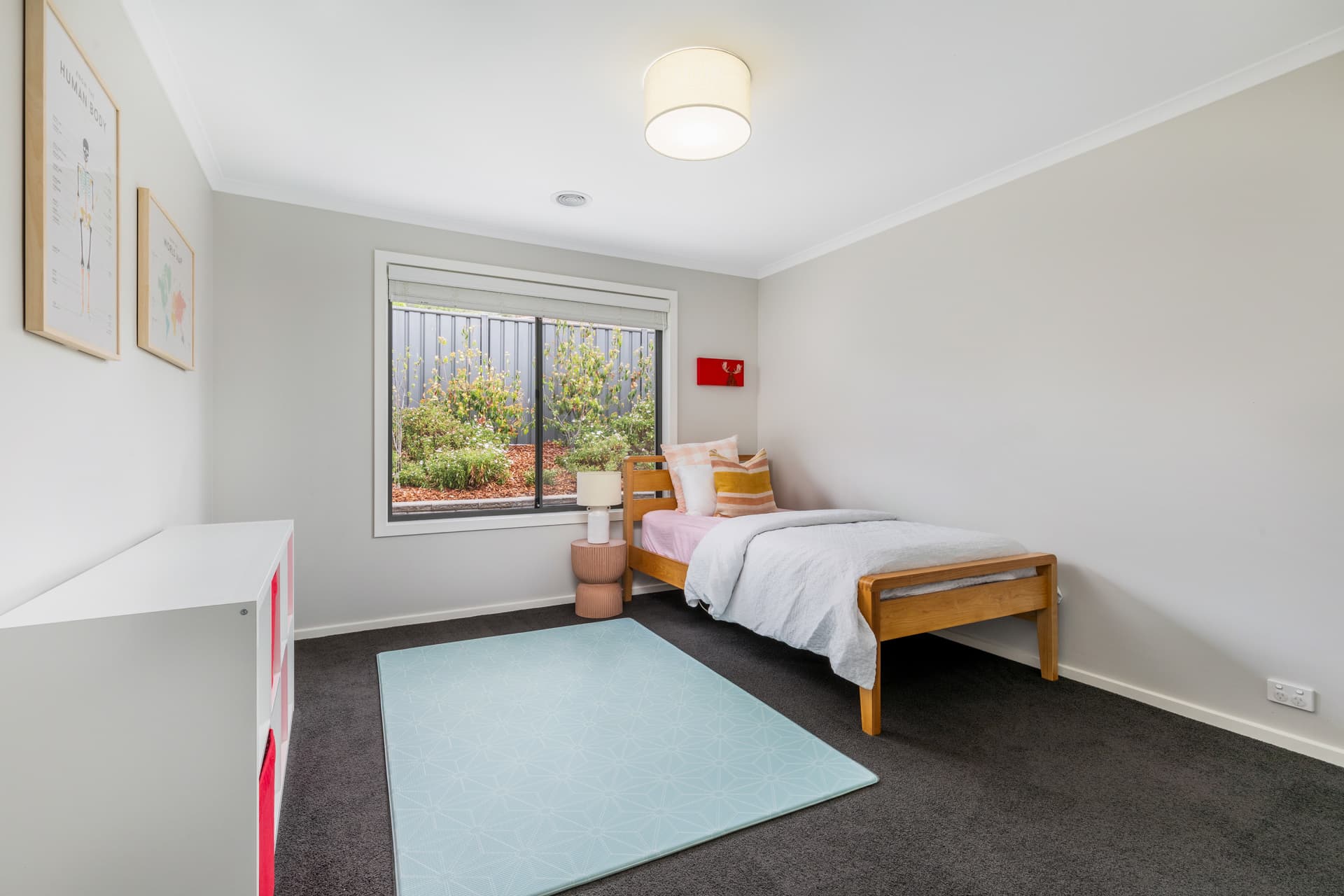 6 Hubbe Street, Torrens ACT 2607, Torrens - Thumbnail 5