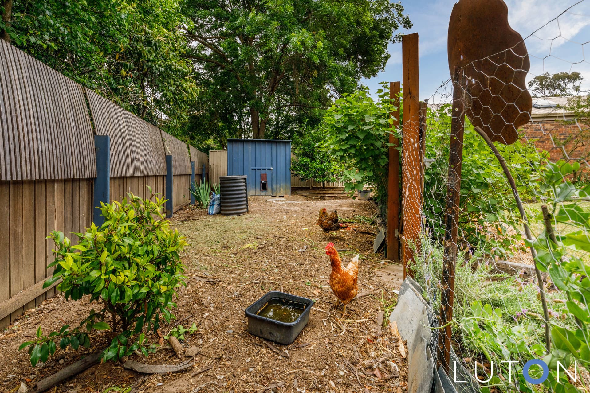 12 Collicott Circuit, Macquarie ACT 2614, Macquarie - Thumbnail 7