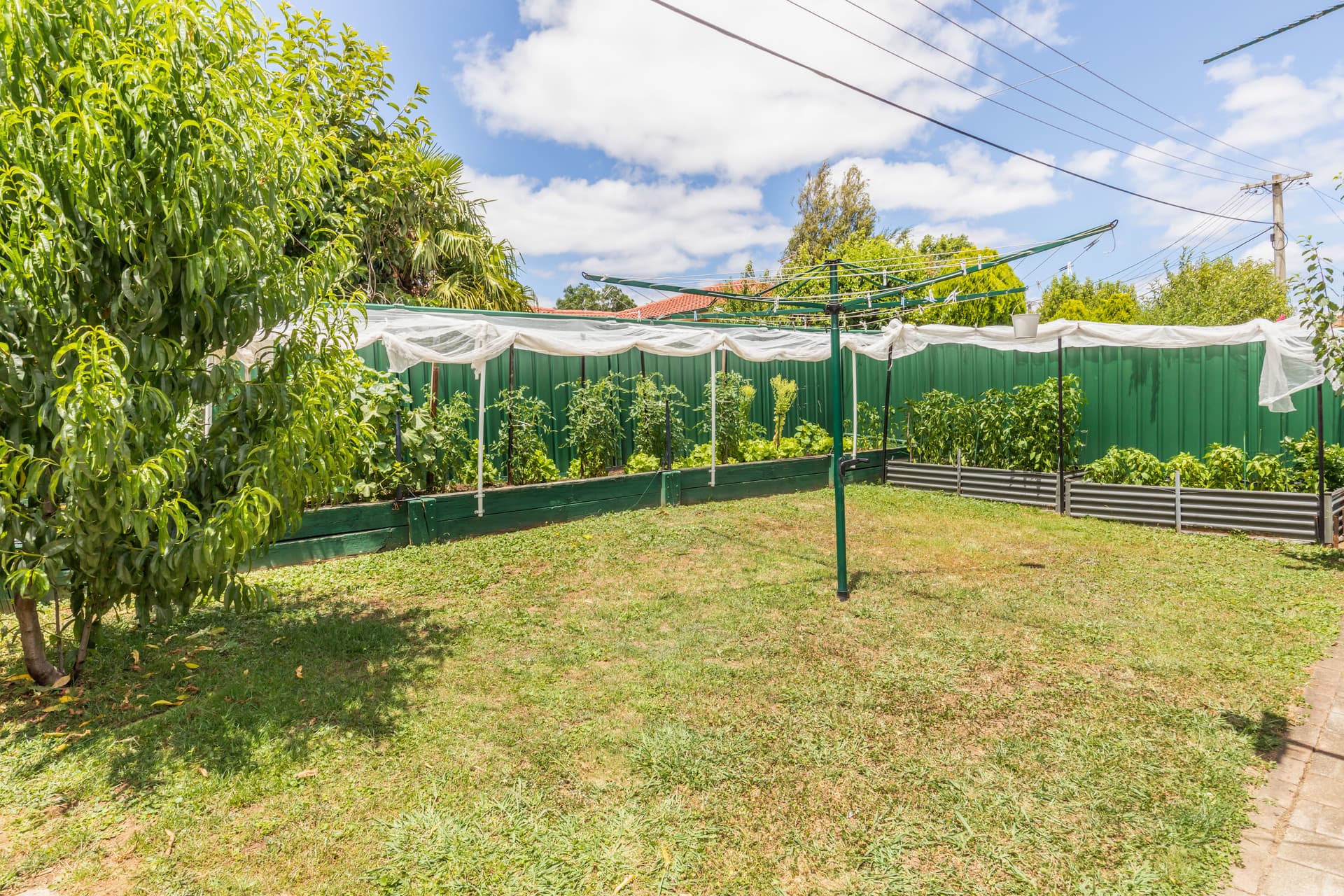 151 Clive Steele Avenue, Monash ACT 2904, Monash - Thumbnail 8