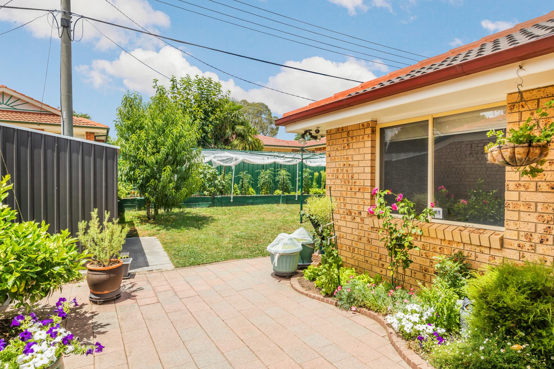 151 Clive Steele Avenue, Monash ACT 2904, Monash - Thumbnail 7