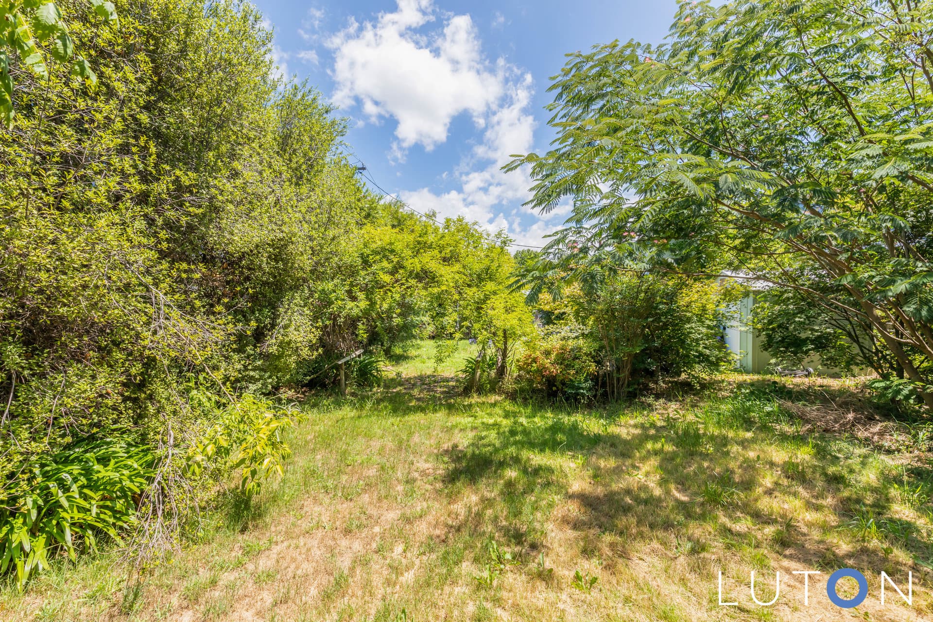 6 Foord Place, Kambah ACT 2902, Kambah - Thumbnail 7