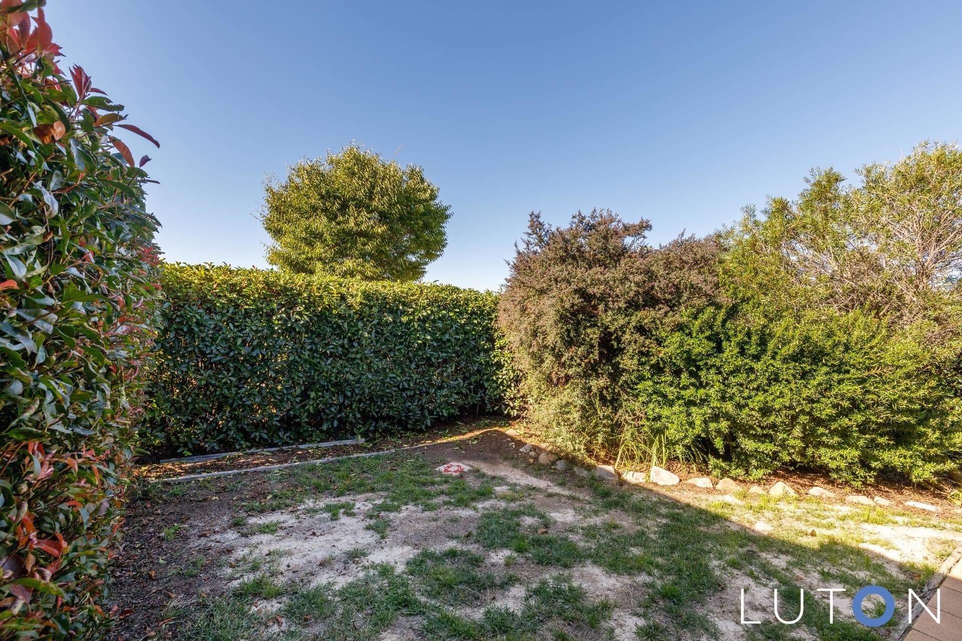 188 MacFarlane Burnet Avenue, Macgregor ACT 2615, Macgregor - Thumbnail 6