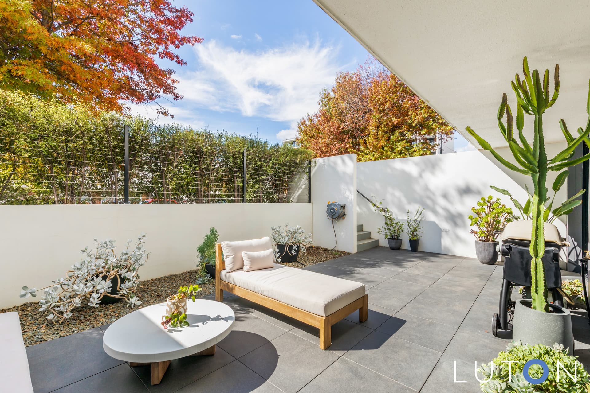 77/109 Canberra Avenue, Griffith ACT 2603, Griffith - Thumbnail 2