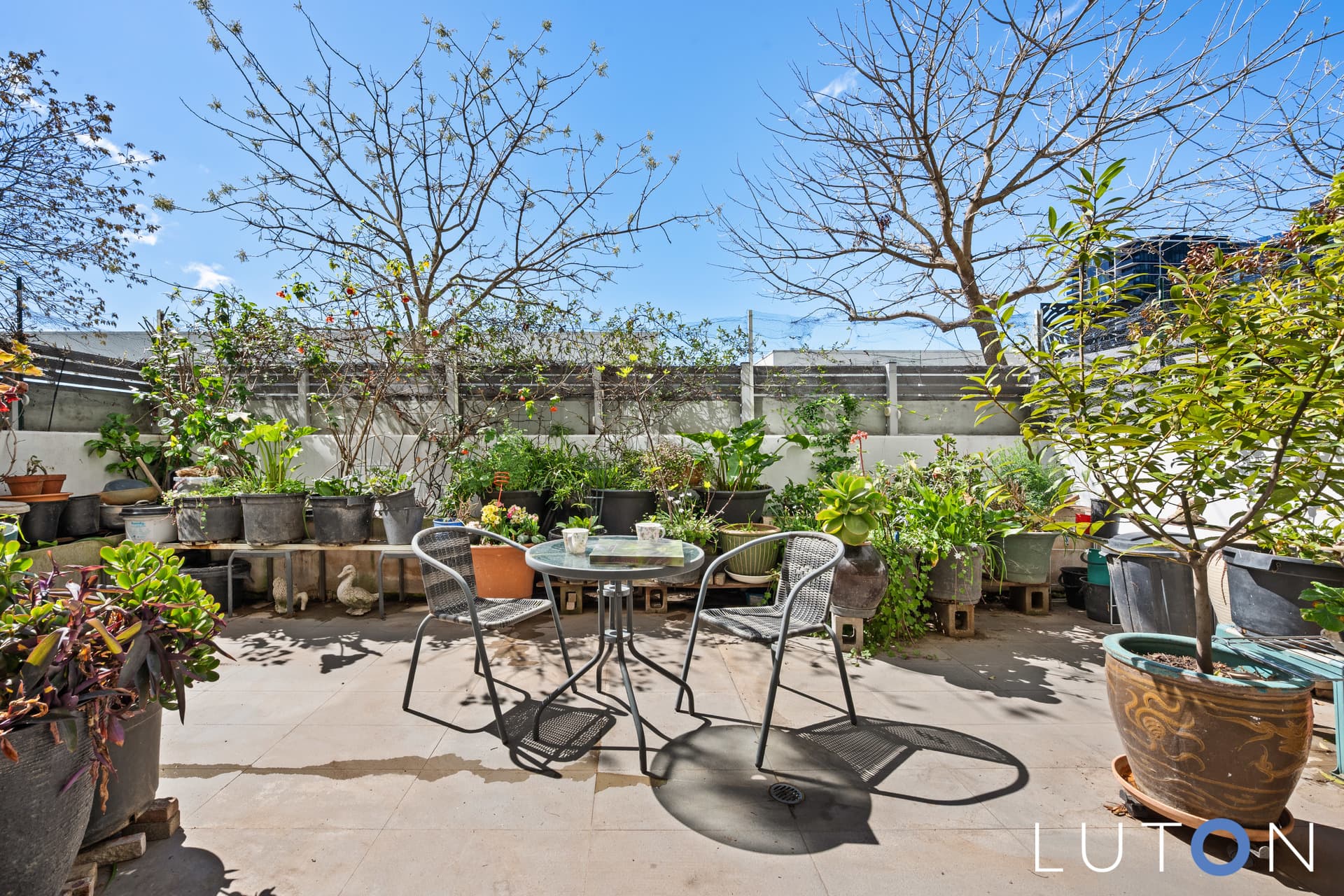 4/39 Chandler Street, Belconnen ACT 2617, Belconnen - Thumbnail 5