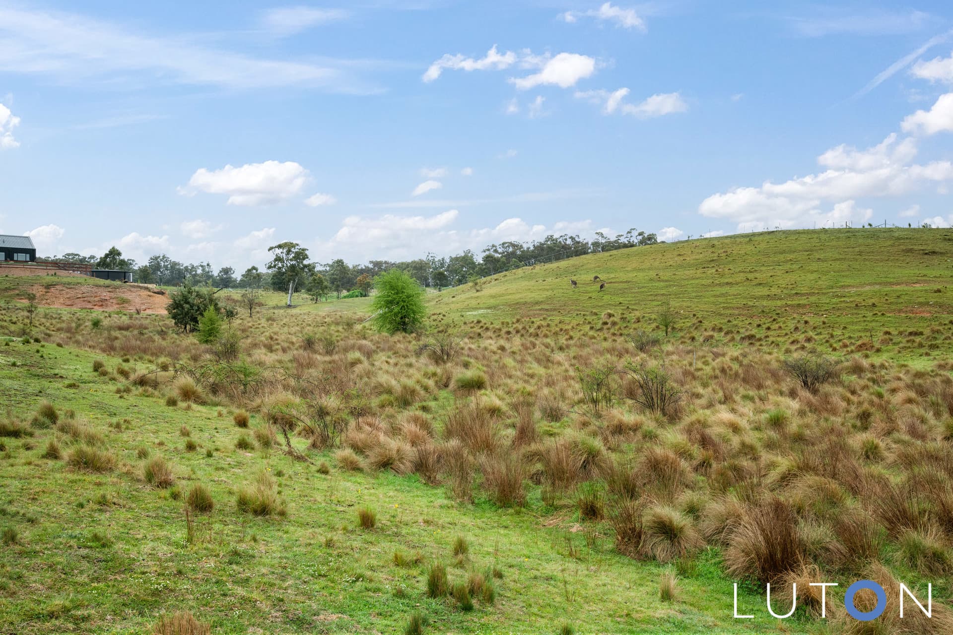 453 Wirreanda Road, Wamboin NSW 2620, Wamboin - Thumbnail 4