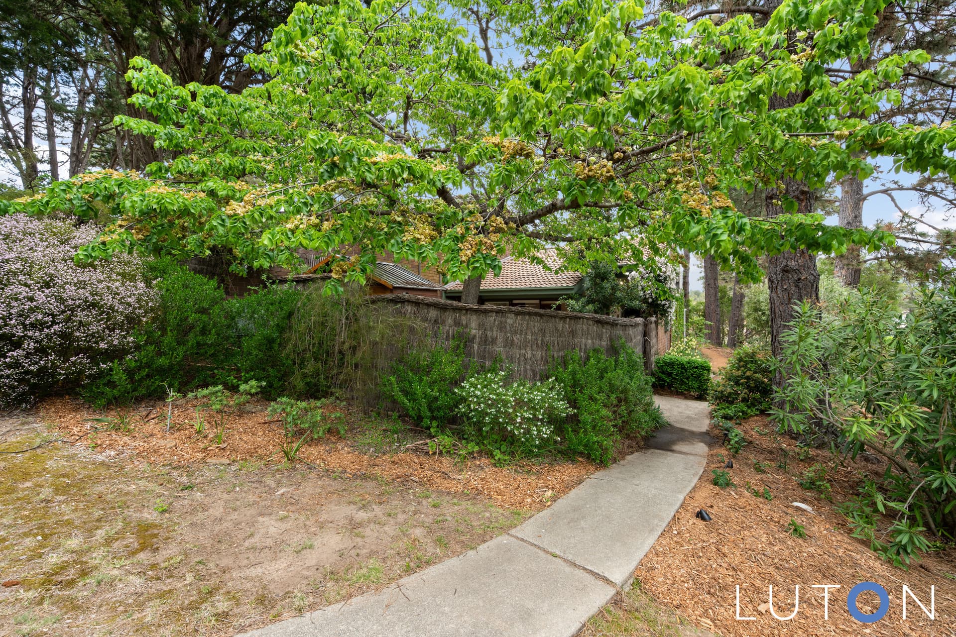21/3 Lane Poole Place, Yarralumla ACT 2600, Yarralumla - Thumbnail 6