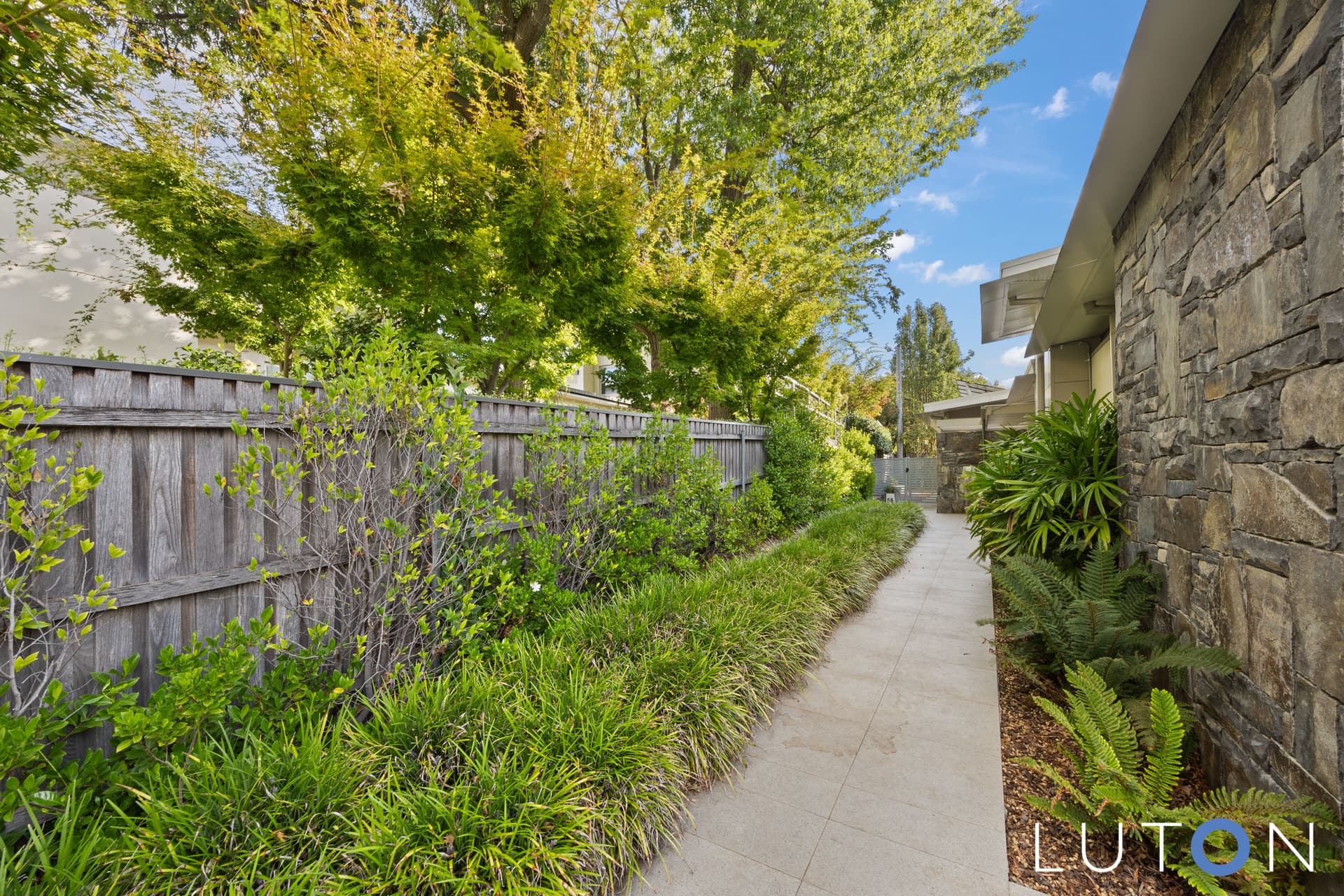 56 Bougainville Street, Forrest ACT 2603, Forrest - Thumbnail 7