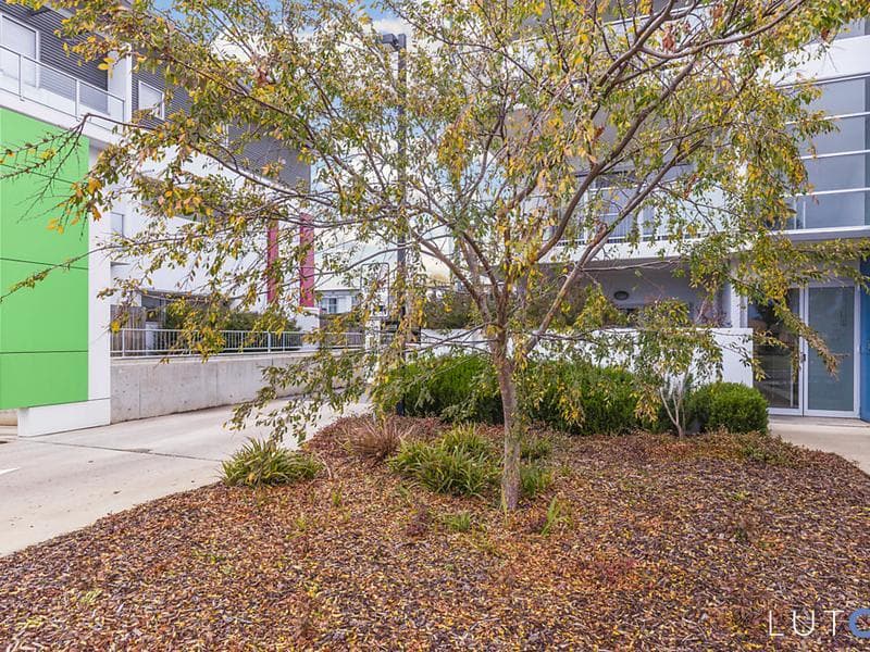 37/329 Flemington Road, Franklin ACT 2913, Franklin - Thumbnail 6