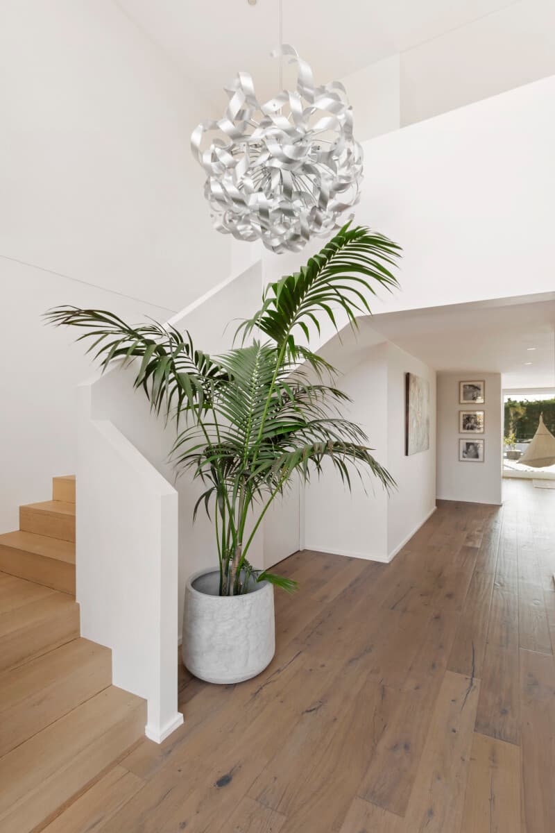 3 Rowsley Road, Mount Eliza, Mount Eliza - Thumbnail 4