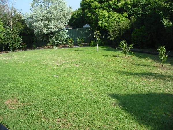 Shop 4 / 57 Mimosa Road, Bossley Park, NSW, 2176, Cecil Hills - Thumbnail 5