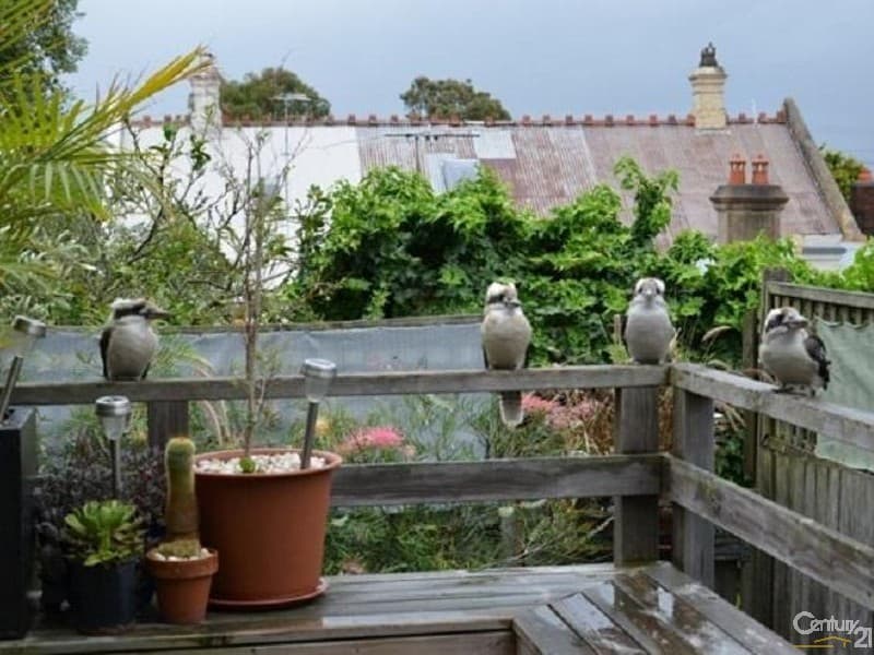 18 Cables Place, Waverley, NSW, 2024, Waverley - Thumbnail 6