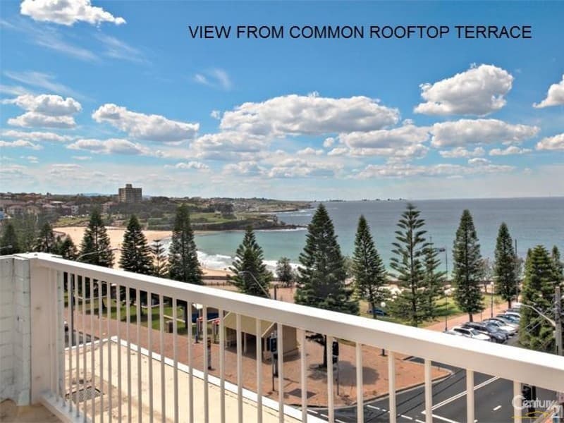 20/50 Carr Street, Coogee, NSW, 2034, Coogee - Thumbnail 3