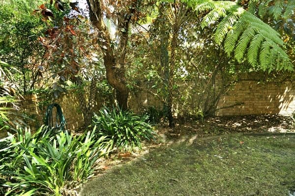 4/17 Flood Street, Clovelly, NSW, 2031, Clovelly - Thumbnail 4