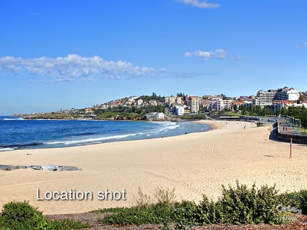 323 Alison Road, Coogee, NSW, 2034, Coogee - Thumbnail 8