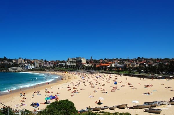 2/94 Mount Street, Coogee, NSW, 2034, Coogee - Thumbnail 5
