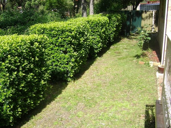 Shop 5, 182 Forest Road, Hurstville, NSW, 2220, Hurstville - Thumbnail 5