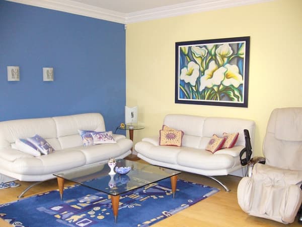 6 Sofala St, Riverwood, NSW, 2210, Riverwood - Thumbnail 3