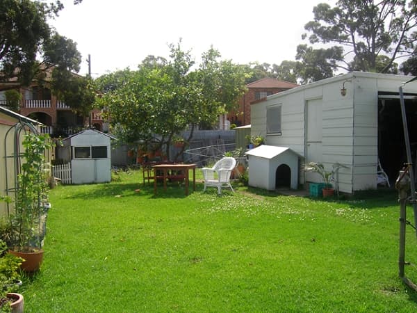 Shop 5, 182 Forest Road, Hurstville, NSW, 2220, Mortdale - Thumbnail 2