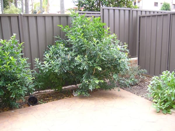 1/31-33 Woids Ave, Hurstville, NSW, 2220, Hurstville - Thumbnail 5