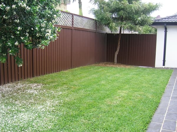 Shop 5, 182 Forest Road, Hurstville, NSW, 2220, Roselands - Thumbnail 4