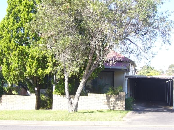 Shop 5, 182 Forest Road, Hurstville, NSW, 2220, Campsie - Image 1