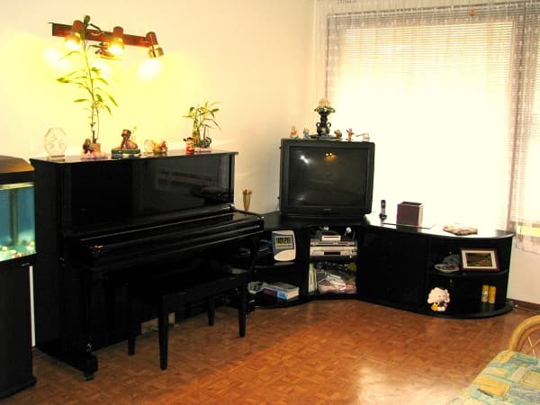 Address Withheld, Bexley, NSW, 2207, Bexley - Thumbnail 2