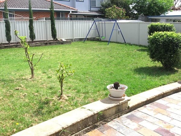 44 Glenfarne St, Bexley, NSW, 2207, Bexley - Thumbnail 7