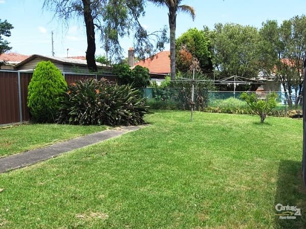 Shop 5, 182 Forest Road, Hurstville, NSW, 2220, Beverly Hills - Thumbnail 2